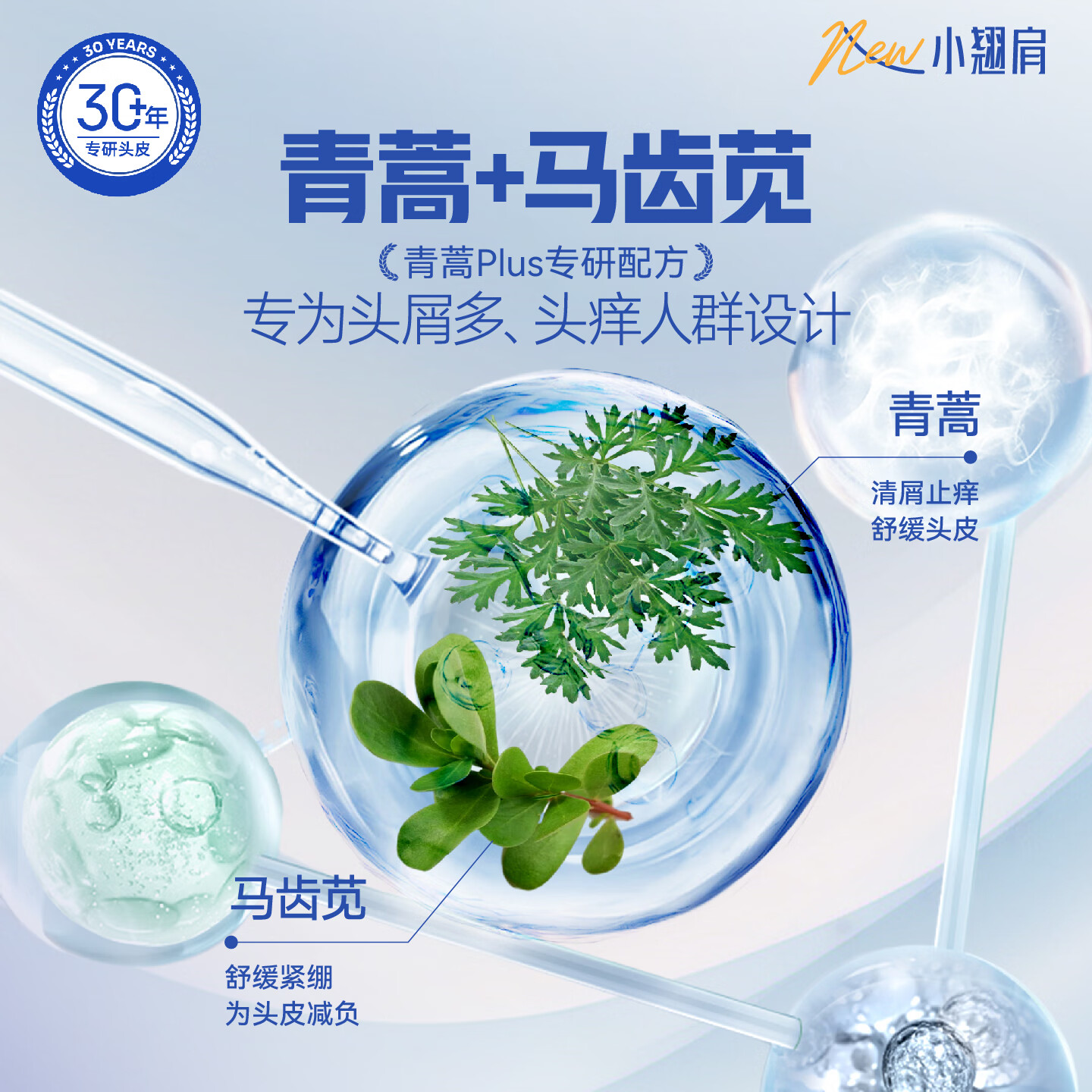 征服（ConQUER）去屑洗发水控油青蒿洗发露学生男女通用洗发膏不含二硫化硒 小翘肩去屑止痒洗发水 530ml