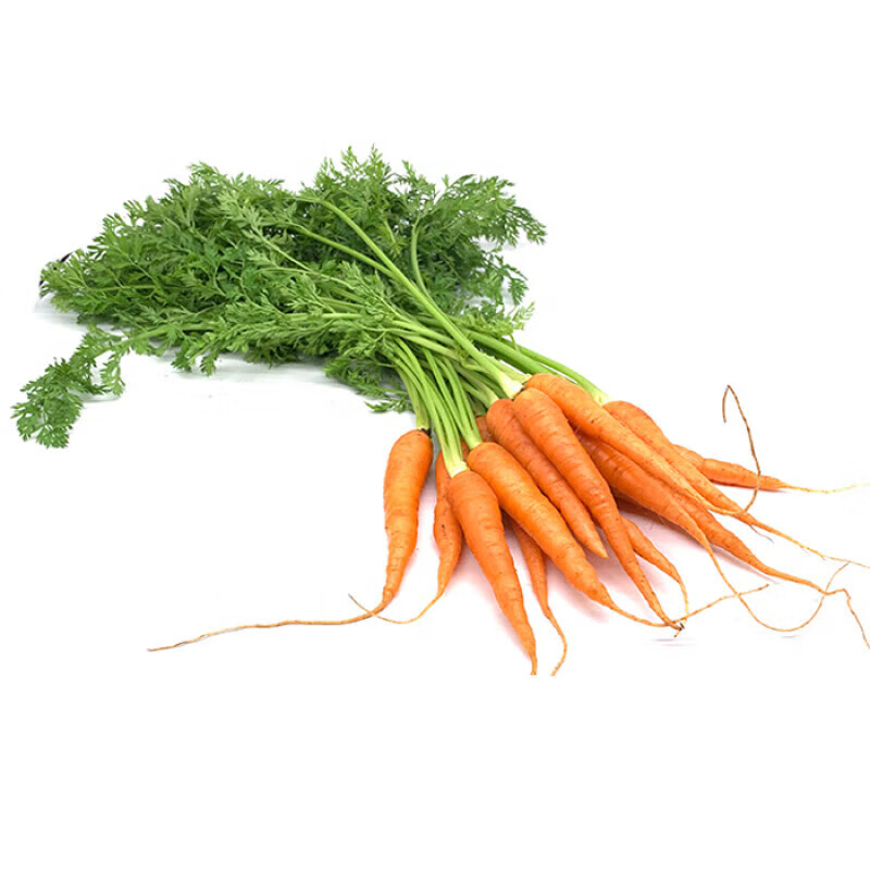 生果乐新鲜手指胡萝卜500g 带叶 迷你胡萝卜 500g