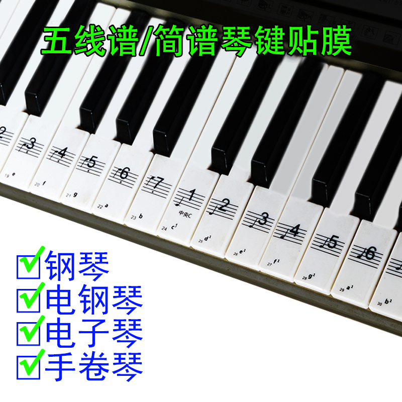 杉贝适用于钢琴键盘贴膜 电子琴手卷琴通用贴纸 五线谱简谱初学者音阶