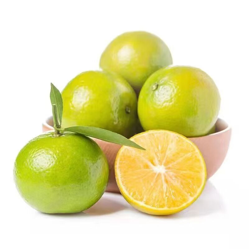 Ӿѡڹʵ۸  ˮժˮ ѡʵ۸ 555-60mm+/ö 25.5Ԫ