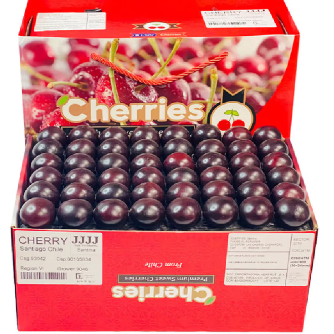 隆千采智利车厘子大樱桃 进口水果年货 700g(净重) 整箱3斤巨无霸3J级30-32mm