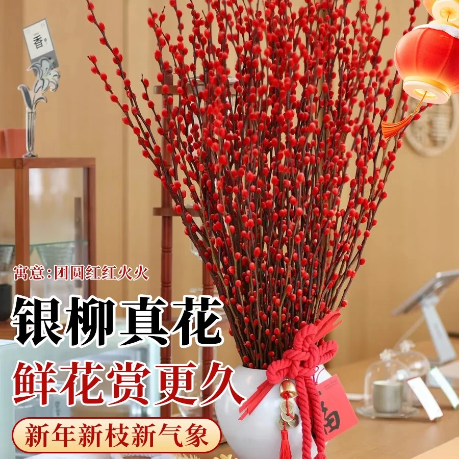 爱你一万年银柳真花鲜枝客厅抱抱福桶装饰摆件干花红色2025过新年宵花卉盆栽 银柳45cm30支(福桶12口径+4灯笼+10挂件