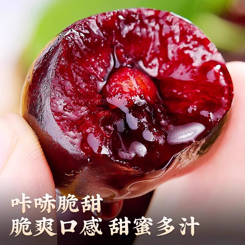 JDBMO大连美早大樱桃国产车厘子【顺丰/京东-多地次日达】当季新鲜水果 2斤(净重) 实惠装 巨无霸3j 单果30-32mm
