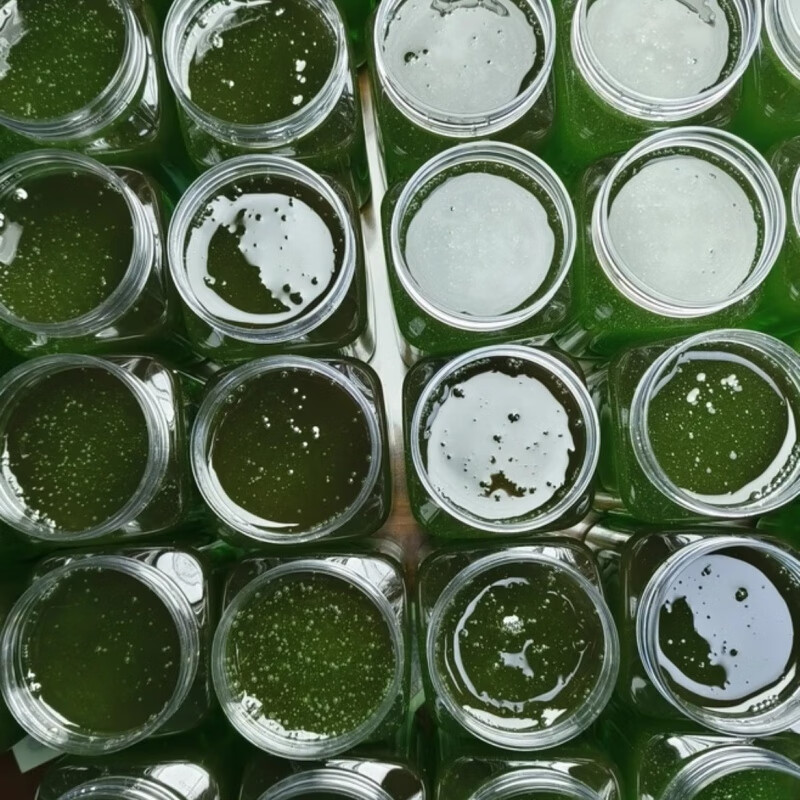 可局云南蜂蜜崖蜜掛蜜土蜂蜜大理辣廖草綠蜜五倍子稀有蜂蜜 辣廖草綠蜜500克