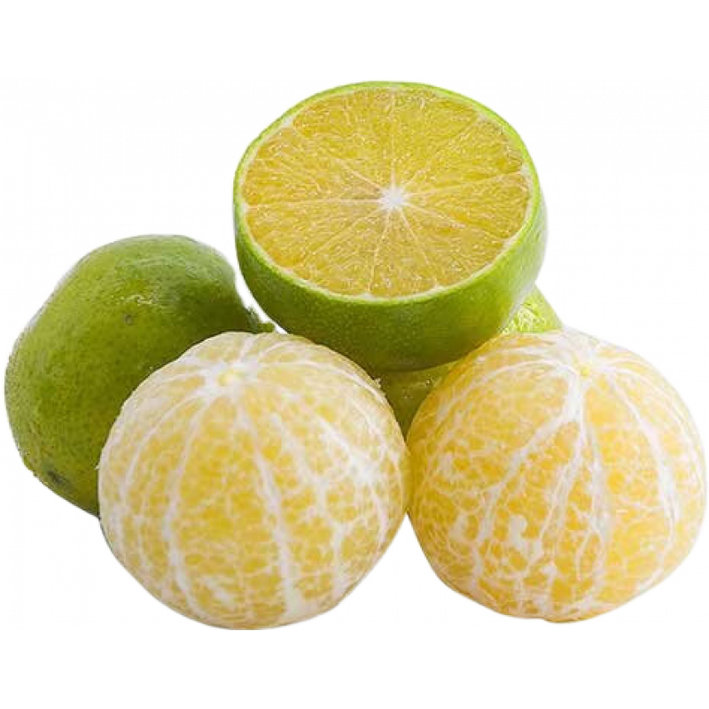 ȹ ʵ۸ Ƥ۽ ֹ 5װ 4.5 50mm+ 10 ̳ǰڲŻݼ12.8Ԫ