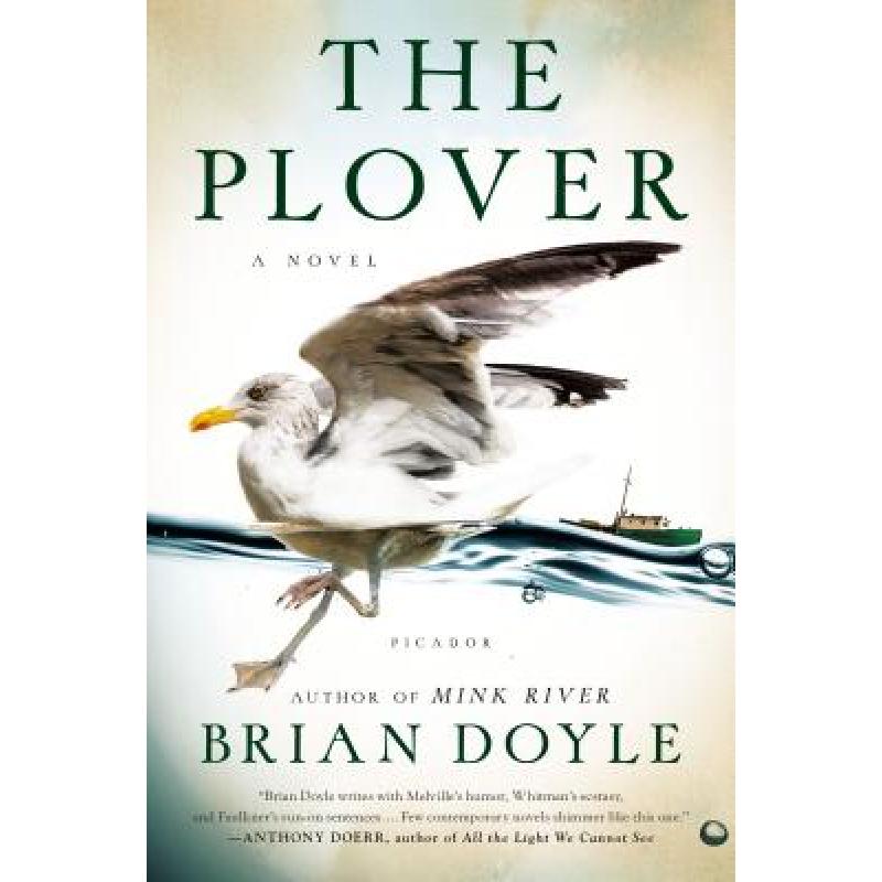预订 The Plover