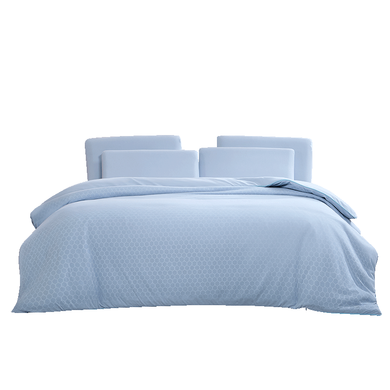 ������xJDear�������� ��˯���¶���PRO A���˿�Դ����ױ�о 220x240cm 1099.0Ԫ����1099Ԫ/����