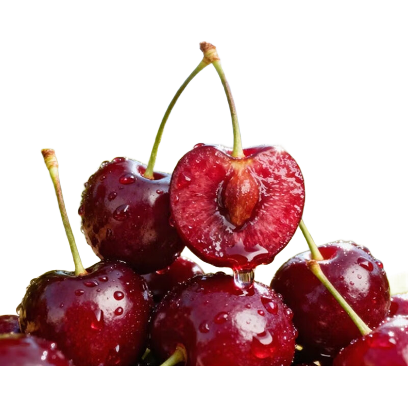 ��ϲ��Ӫ ������/ӣ�� ����� 2J ����������28-30mm�� 142.0Ԫ����142Ԫ/����