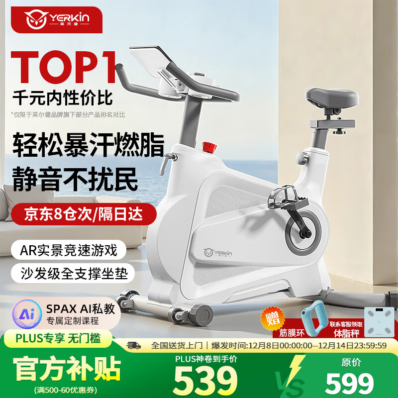 英尔健动感单车磁控家用静音小型自行车室内减肥锻炼运动健身器材 [豪华款白]升级蓝牙+智联app