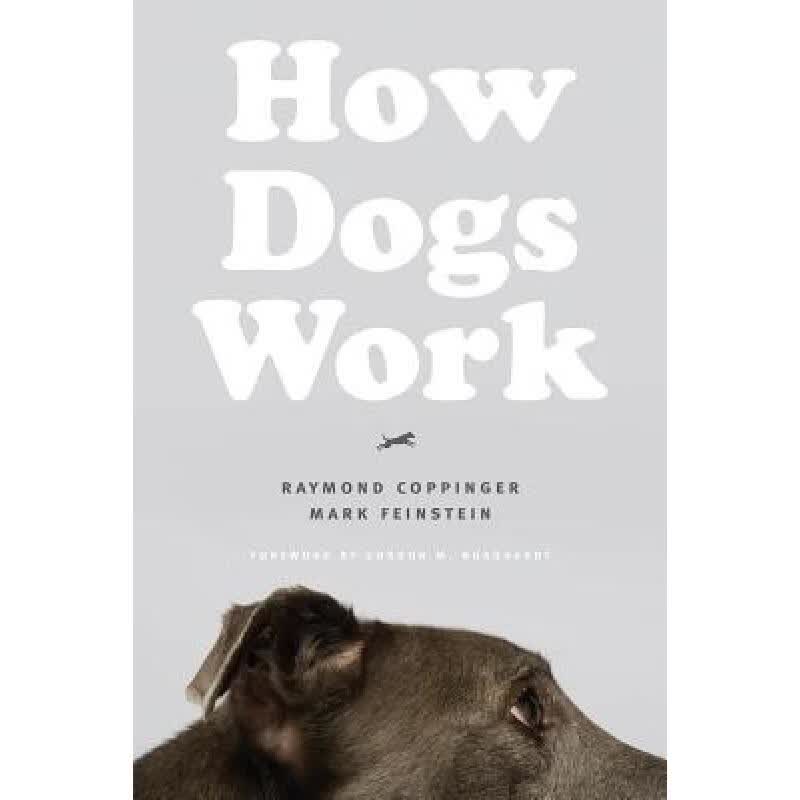 预订 How Dogs Work