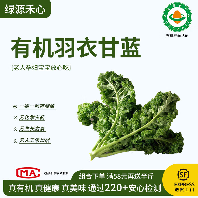 綠源禾心有機(jī)羽衣甘藍(lán)新鮮現(xiàn)摘輕食材kale健身西餐沙拉時(shí)令健康無農(nóng)殘蔬菜 五斤