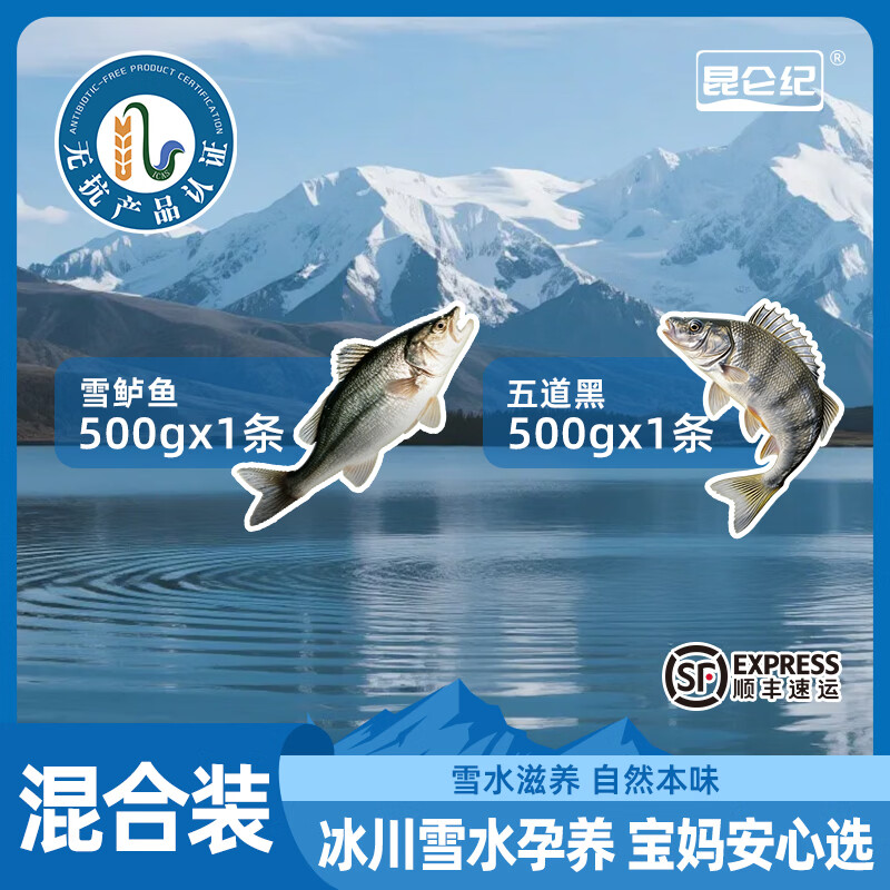 昆仑纪新疆鱼五道黑雪鲈鱼混合装无抗淡水鲈鱼整条装速冻锁鲜顺丰发货 【混装】【雪鲈鱼+五道黑 各1条 总重约1kg】