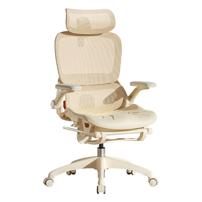 ��� B100Lady Pro ���幤ѧ�� Ů�����ۿ� �����칫������677.45Ԫ����������