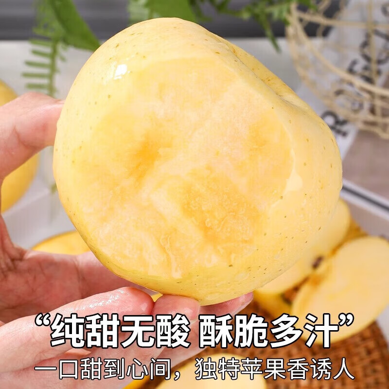 秦悦仙果鲜正宗山东黄金维纳斯苹果水果奶油新鲜整箱送礼品物盒圣诞节 净重4.5斤【单果160g+】丨很甜 【百里挑一】10年精选果