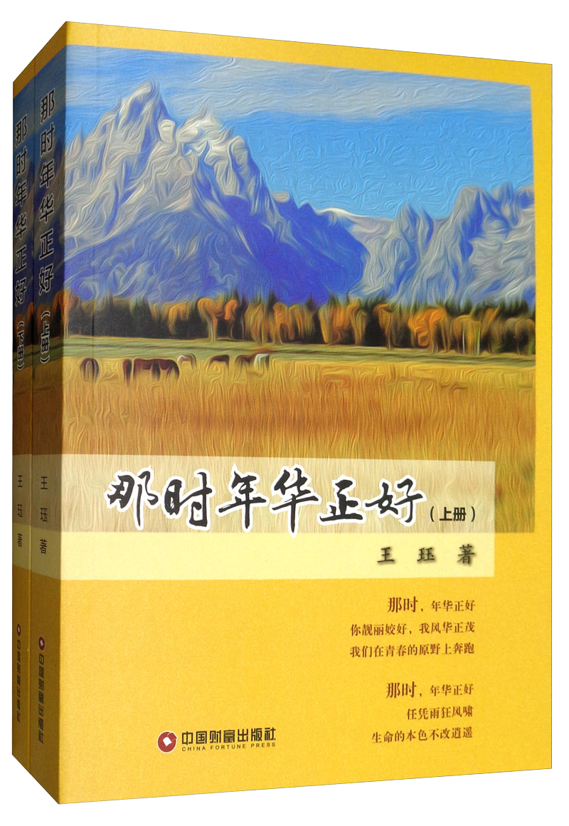 那時(shí)年華正好（套裝上下冊(cè)）