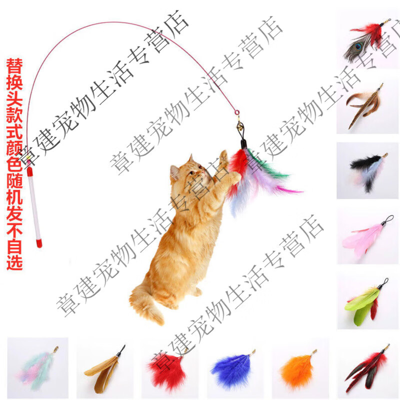 逗猫棒长杆猫猫玩具钢丝彩色羽毛带铃铛耐用0到3个月互动小猫玩具 钢丝逗猫棒+额外替换头*2