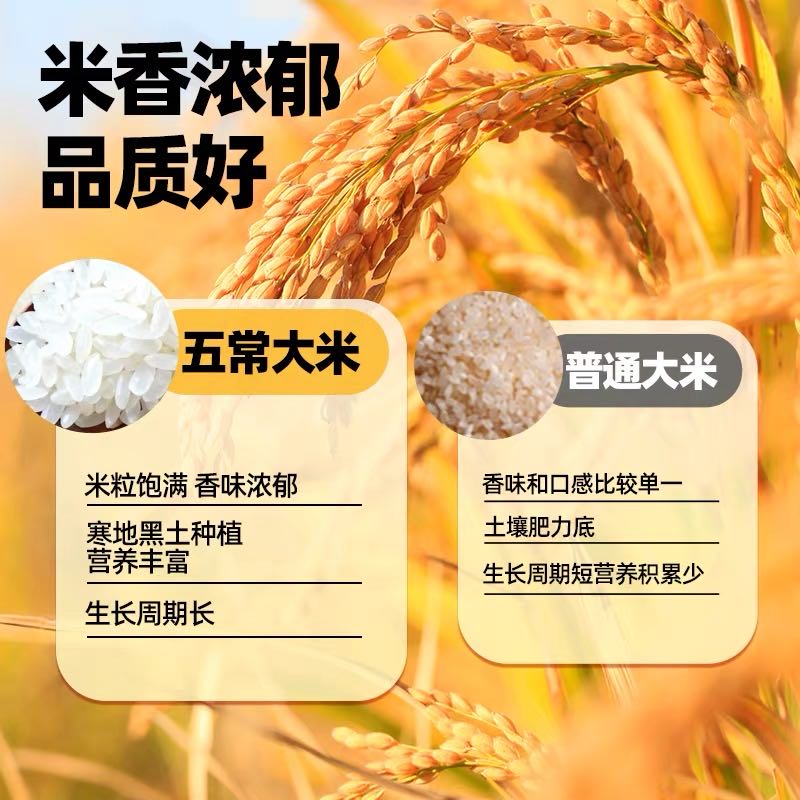 道台府2025年新米五常大米10斤黑龙江东北大米2.5kgGB/T 19266产地直发 正宗五常大米5kg*1袋