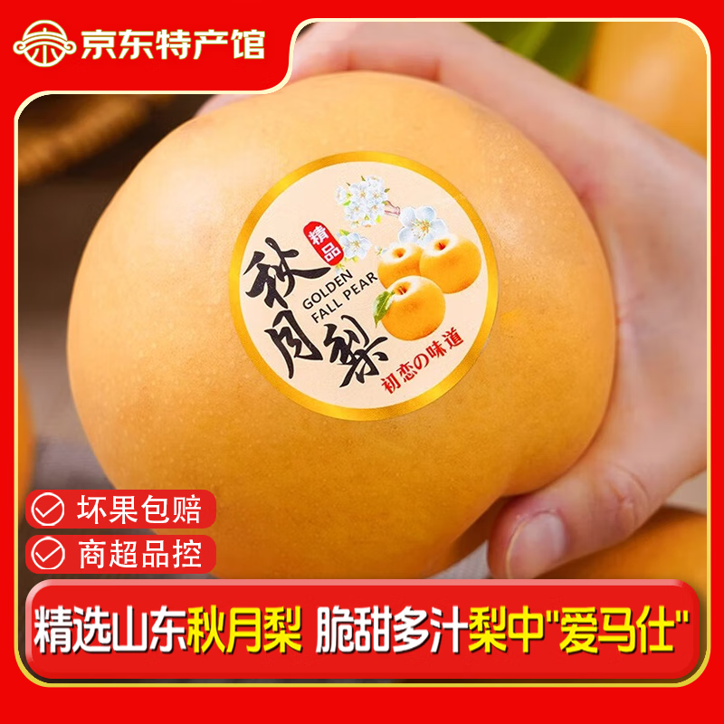 骑猴赶马山东莱阳羊脂秋月梨现摘新鲜水果中秋礼盒送礼冰糖梨子秋月梨 带箱5斤超值精选装【单果5-7两丨净重4.5斤】