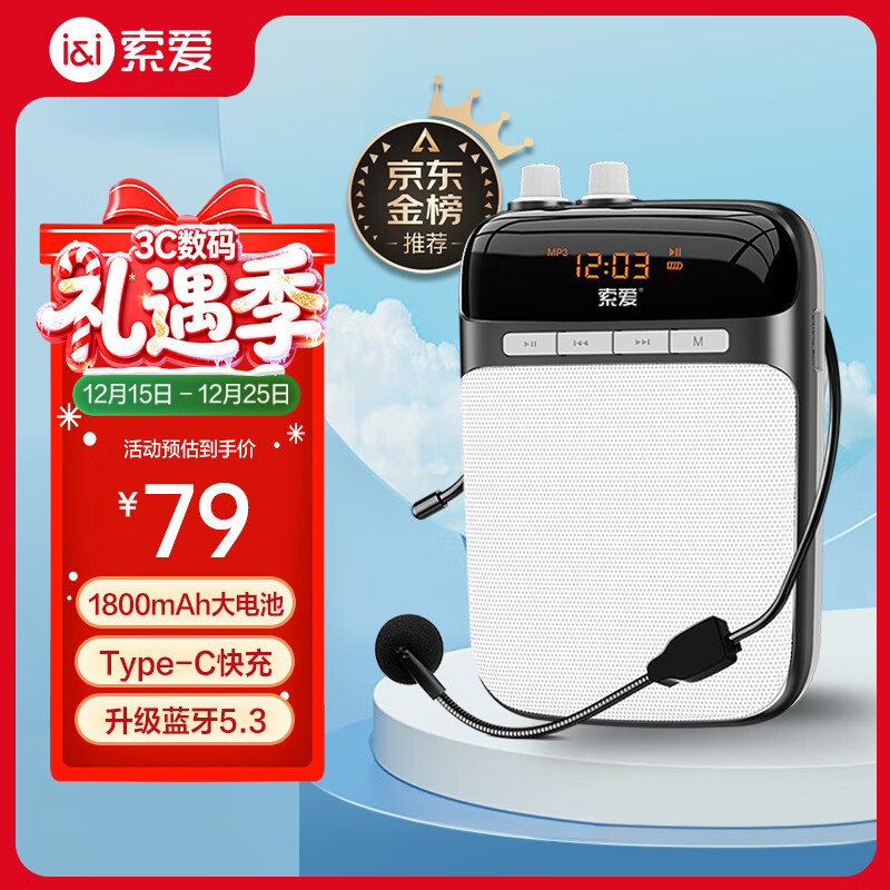 索爱（soaiy）S318小蜜蜂扩音器教师专用蓝牙音箱音响小喇叭TF卡U盘录音麦克风户外导游便携式教学Type-c 黑