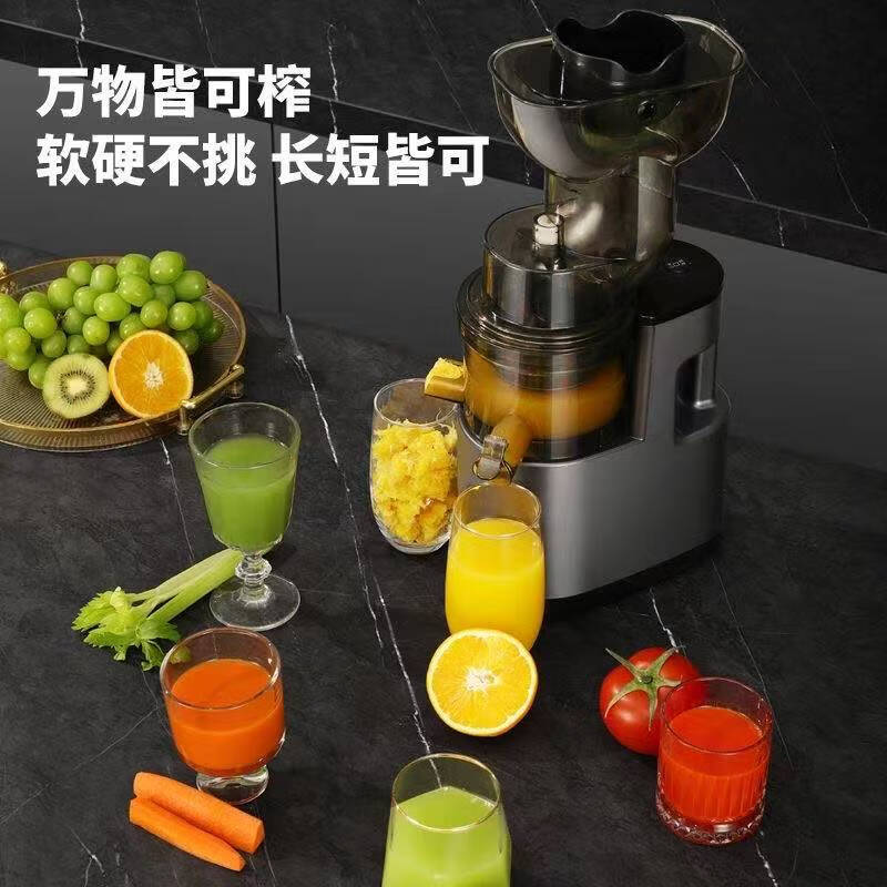 熊呗榨汁机汁渣分离全自动家用小型蔬菜果汁机商用大口径免切过滤原汁机 【太空篮】单网不锈钢 I渣汁分离I整果免切