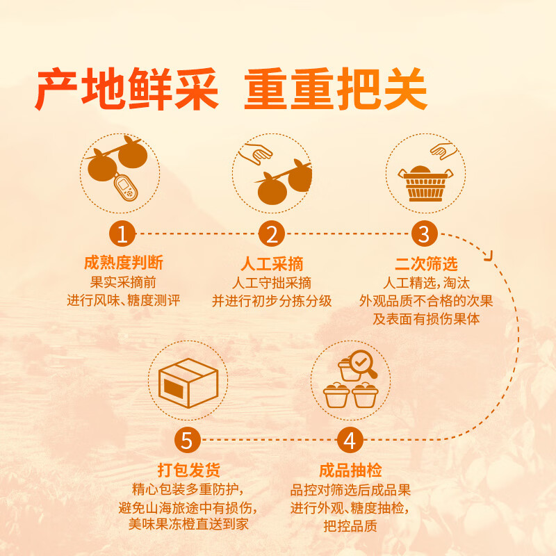 东方甄选果冻橙橙子酸甜爆汁手剥橙新鲜应季水果坏果包赔过年年货 【5斤大果】单果190g+约7-12个 按重量发货有空托