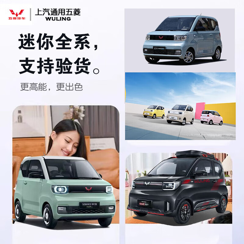原厂五菱宏光MINIEV迷你马卡龙电动汽车充电器mini充电枪原装 MINI专用-2.5米白色【新款弯款】 现货速发