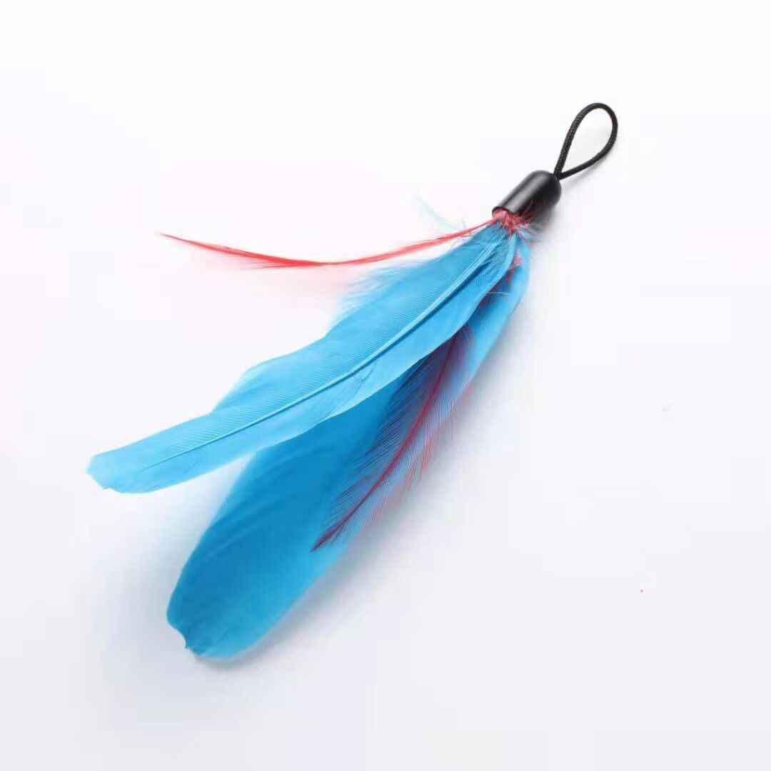 逗猫棒长杆猫猫玩具钢丝彩色羽毛带铃铛耐用0到3个月互动小猫玩具 钢丝逗猫棒+额外替换头*2