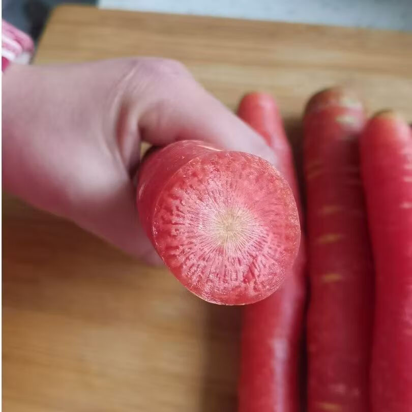 秦品堂陕西沙地水果红萝卜 新鲜蔬菜现挖脆甜胡萝卜红皮 5斤精品装