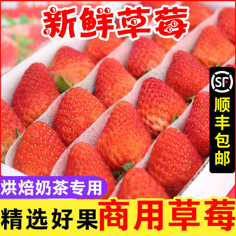 双流冬四季酸草莓新鲜商用水果奶茶烘焙饮品糖葫芦专用顺丰包邮 0g0g 2盒28颗(小果共56颗)单果5-9g酸草莓顺丰直达