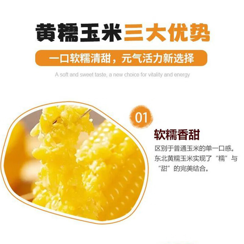 汤泉一品东北玉米新鲜糯玉米精品大棒东北甜糯玉米棒真空玉米轻食苞米棒子 东北黄糯玉米260-350*8根(铝箔袋、透明袋混发)