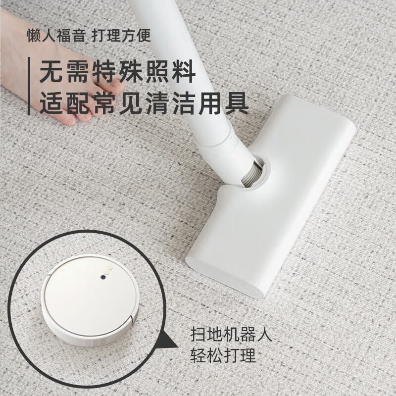 AILUKI日本地毯客厅极简2025新款防水卧室免洗可擦轻奢沙发家用地垫 圈绒-奈尔-透气款 140cm*200cm 【2人沙发通用升级加厚_0甲醛】