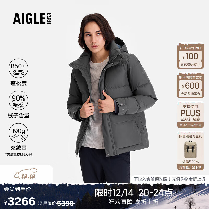 AIGLE【25年冬季新品】艾高GORE-TEX防风透汽户外保暖90绒羽绒服外套男 玄铁灰BP041 L L 180/96A