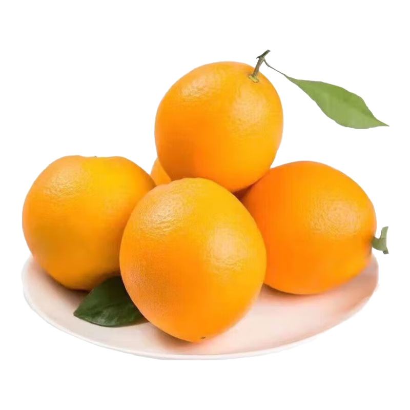 ���ڸ������ ������ժ ����ˮ�� 10��װ 60-70mm�� ����9�� 15.9Ԫ