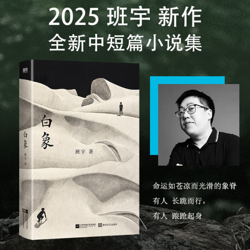 白象 班宇2025年全新中短篇小说集 磨铁 预售