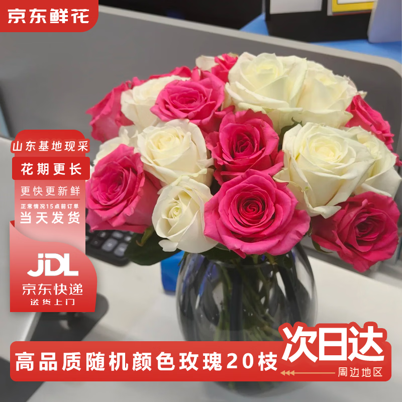 京东鲜花玫瑰花随机20枝鲜切花礼品花新年花年宵花基地现采现发源头直发