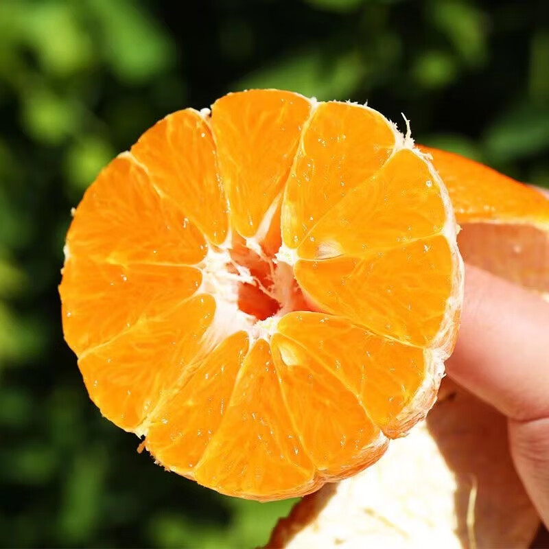 同甘园四川春见耙耙柑新鲜水果整箱孕妇橘子时令柑橘 整箱5斤精选果径70-75MM净4.5斤