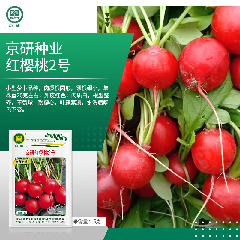 �����ܲ����Ӱ��ܲ�ɳ��ˮ��ӣ���ܲ���о���ܲ�������̨���߲������� ��ӣ��2��ˮ��ӣ���ܲ� 5��