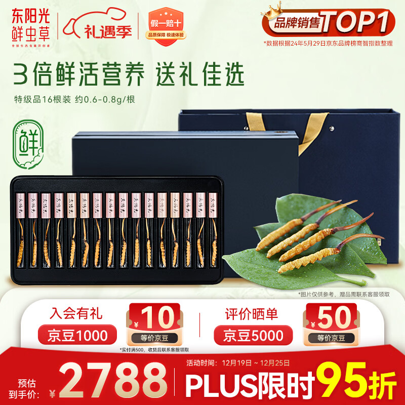 东阳光鲜虫草0.6-0.8g/根16根新鲜冬虫夏草补品送长辈老人源头直发包邮