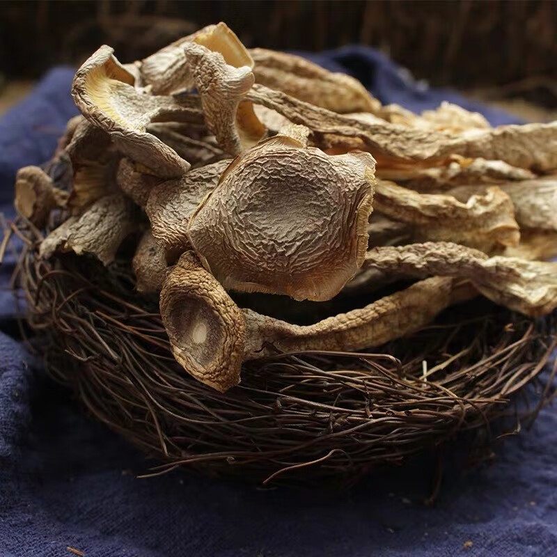 宏园 鹿茸菇干货特产菌菇新鲜煲汤食材食用 100g/罐 默认