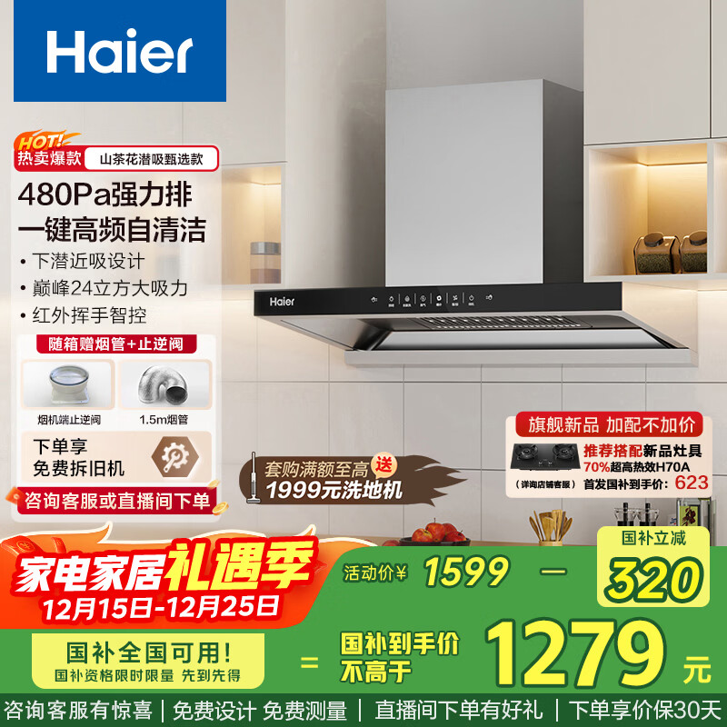 海尔（Haier）抽油烟机大吸力 【山茶花】新欧式顶吸式深潜近吸 24风量自清洁 国家补贴20%油烟机ET906S