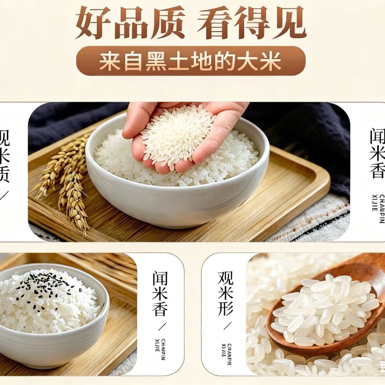 道台府2025年新米五常大米10斤黑龙江东北大米2.5kgGB/T 19266产地直发 正宗五常大米5kg*1袋