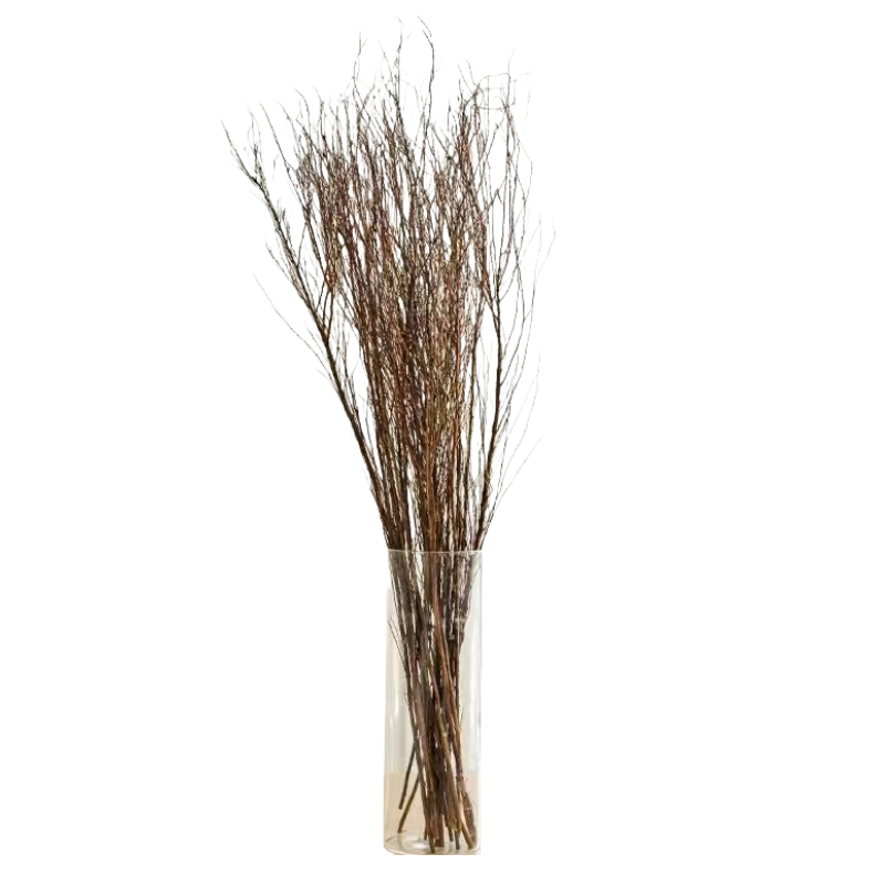 ���ڲ��������θ�֦ѩ��ˮ����֦�滨����ˮ����ֲ���ܿ������Բ廨��������ˮ�� ��ѡѩ����֦50-60����20֦������ƿ�� 8.93Ԫ