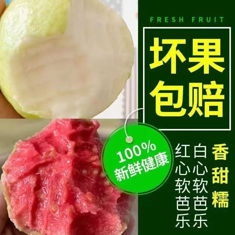 红白混搭装广西产地番石榴芭乐软心糯香甜新鲜现摘发【红心偏小】 白心芭乐1斤试吃装（贵在运费）
