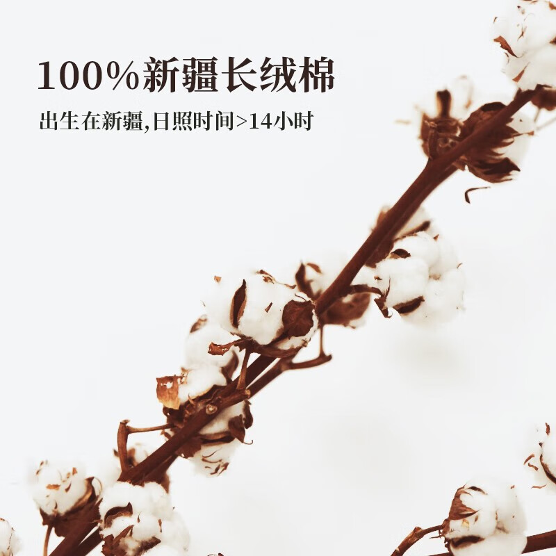 内野（UCHINO）纯棉毛巾面巾A类抑菌洗脸巾刺绣儿童巾吸水亲肤舒适TK 【全棉毛巾】水蓝色+珊瑚粉