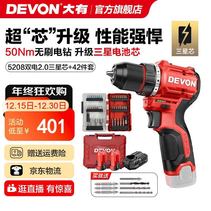 大有（Devon）12V锂电无刷电钻5208手电钻冲击钻5209电动螺丝刀家用电钻DD121 5208 2.0Ah双电快充三星芯+42件套