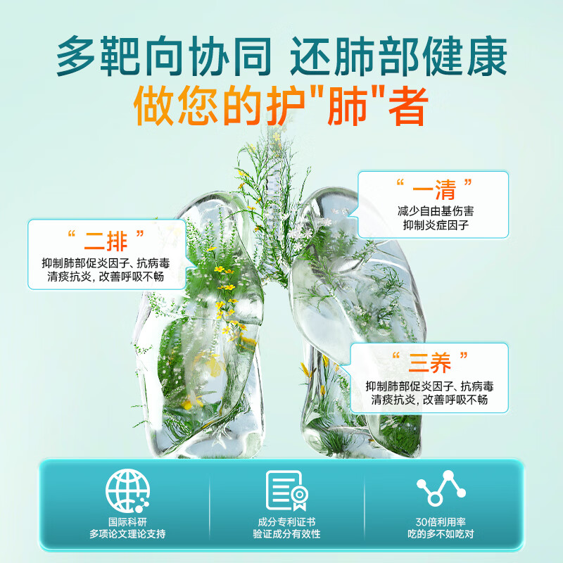 ANICo小绿条槲皮素清肺止咳化痰喘畅快呼吸养肺润肺部散结节澳洲进口 9盒巩固装【长效养护买6送3 适用10-20mm】