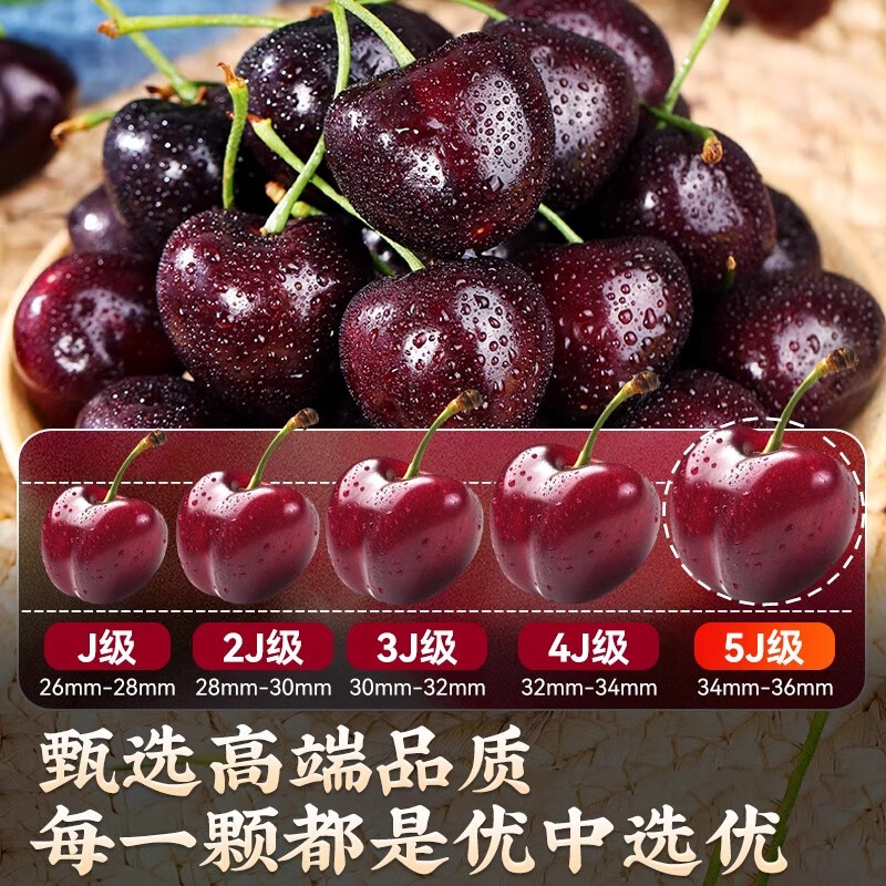 JDBMO大连美早大樱桃国产车厘子【顺丰/京东-多地次日达】当季新鲜水果 2斤(净重) 实惠装 巨无霸3j 单果30-32mm