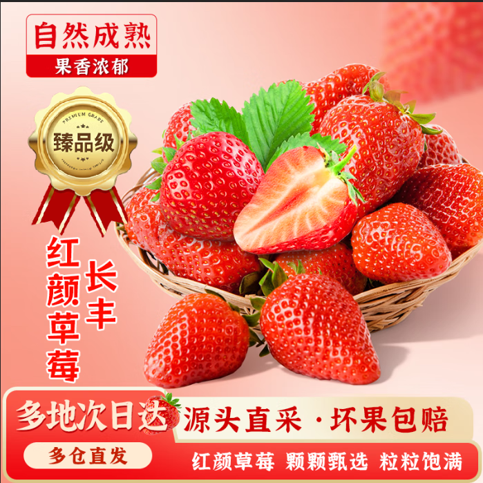 ճղݮ JD/˳شմ Ӧˮַ2 ɱػ 15g+ 1.2 