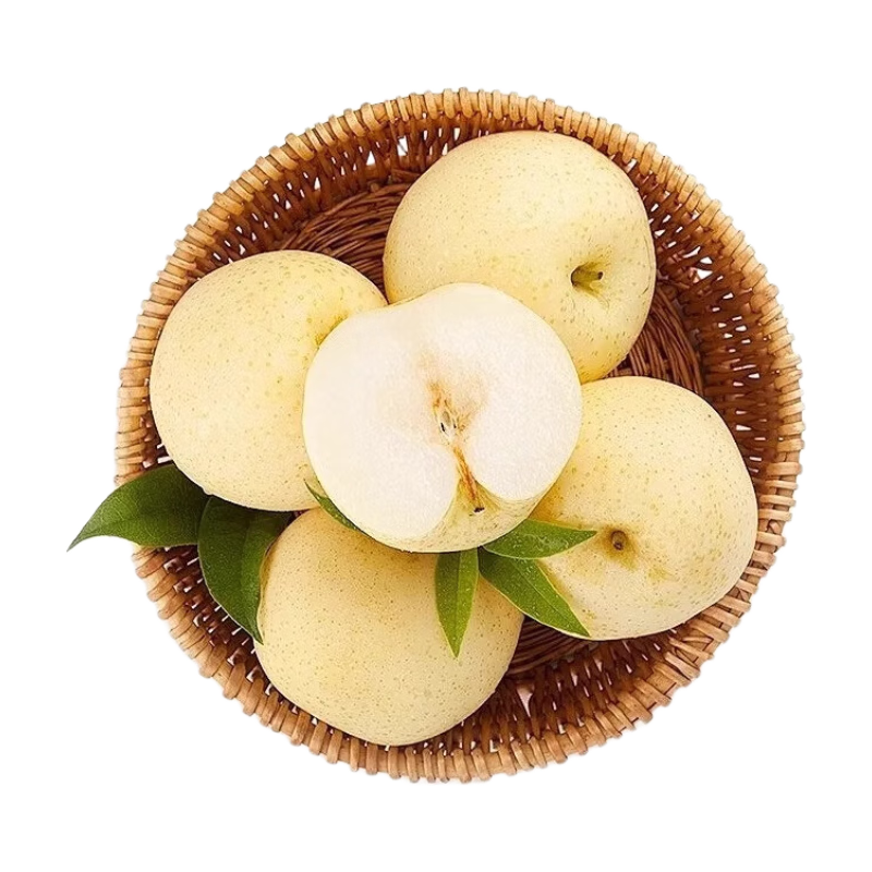 ��ϲ�� �ӱ�ѩ�� �����ز� ����ѩ���������� ����1���� 0.9Ԫ�����ݽ�ͼ����ҳ-9.9����ҳ����ȡ�Ż�ȯ