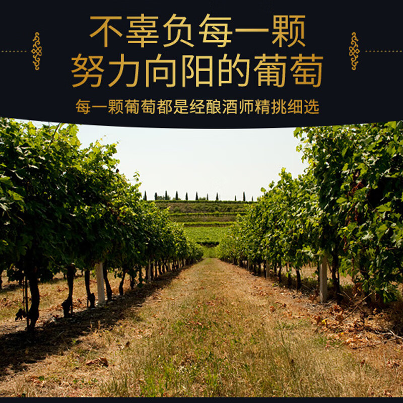 圣汀格【海外直采】澳大利亚原瓶进口红酒 西拉子红葡萄酒年货送礼佳品 【原瓶进口】750ml*2瓶（配礼袋开瓶器）
